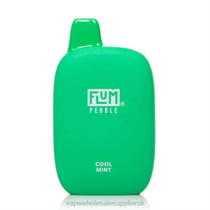 FLUM PEBBLES 6000 PUFFS 0L8226 Vape Wholesale Price List Cool Mint