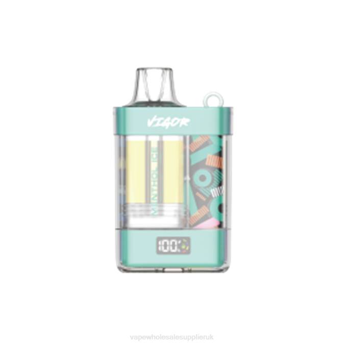 Vape Wholesale Supplier 4BD62 Menthol Ice - LAVIE VIGOR 15000 Puffs